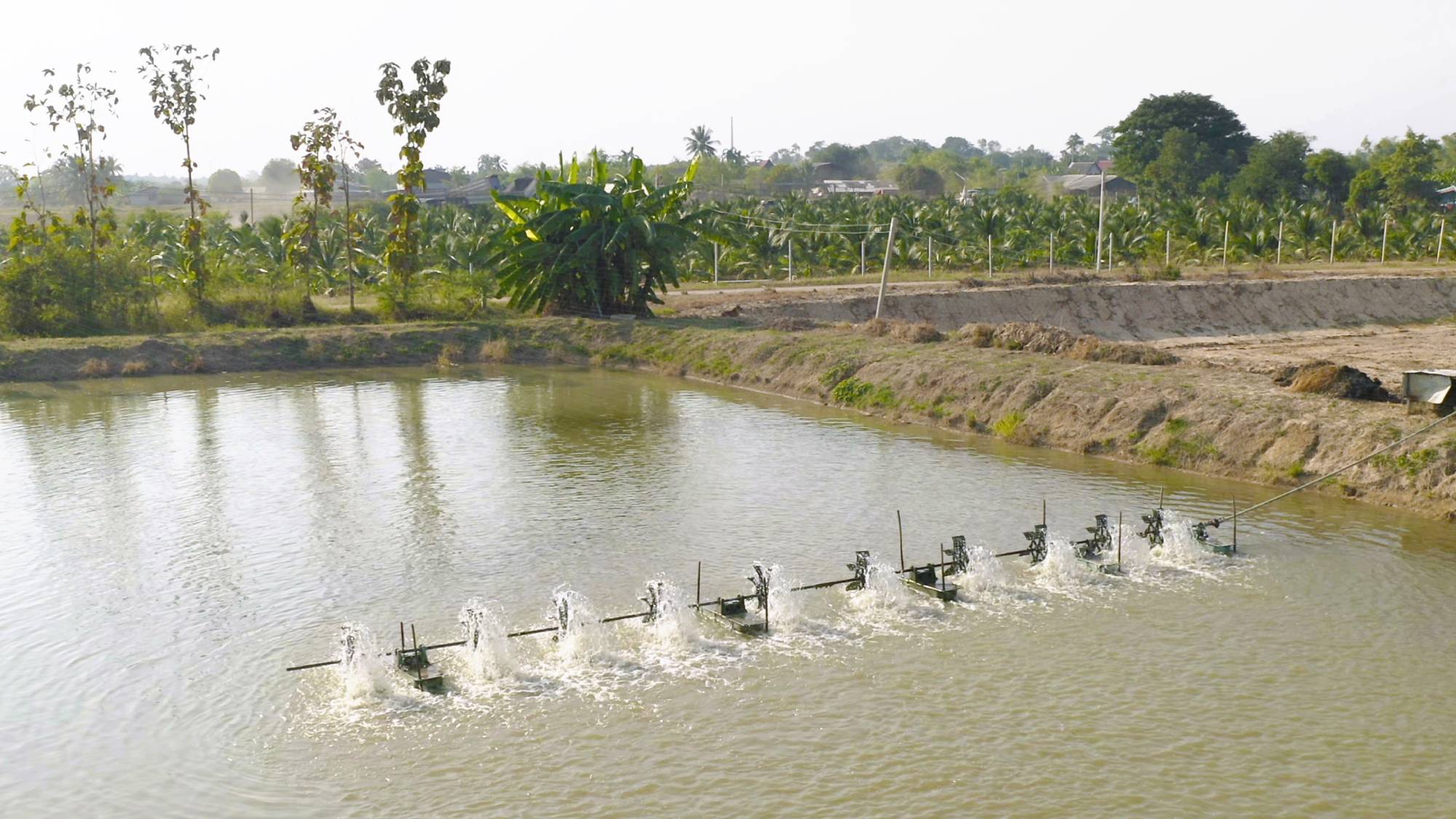 Aerial view of water turbines machine on lake, pond or river in farm field in industry factory. Power, sustainable green clean energy, and environment concept. Nature innovation.